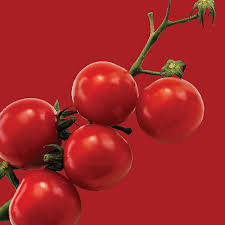 Afbeeldingsresultaat voor principe borghese tomato