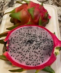 Attēlu rezultāti vaicājumam “Rosa subcanina fruit”