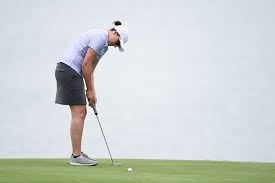 Image result for The Alt Golf Club