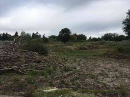 Image result for Broadwater Park Golf Club