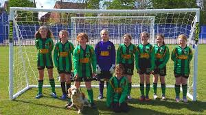 Image result for Bromyard Town Football Club Limited