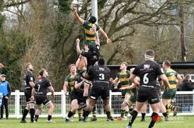 Image result for Rochford Hundred Rugby Club
