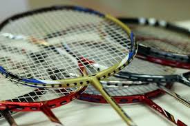 Image result for Mayflower & Hammond Jnr Badminton Club
