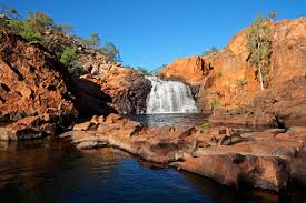 Billedresultat for kakadu n...