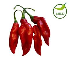 Afbeeldingsresultaat voor chili maya hot pepper hot pepper