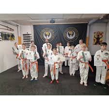 Image result for Colchester Wado Ryu Karate