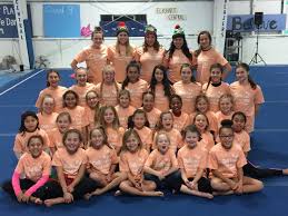 Image result for Custom Gymnastics Club