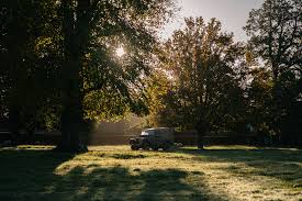 Image result for site:net pino◆MatthewZ8E