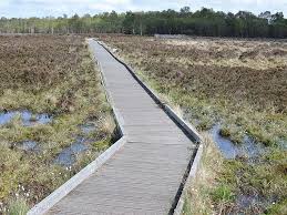 Image result for Auchinloch Bowling Club