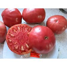 Afbeeldingsresultaat voor stump of the world tomato