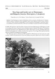 Attēlu rezultāti vaicājumam “Diaperis boleti imago”