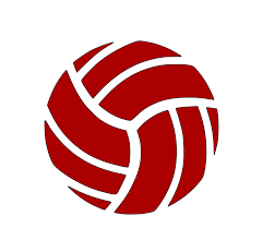 Image result for Wandsworth Netball Club