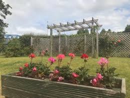 Image result for Bridgwater & Albion RFC