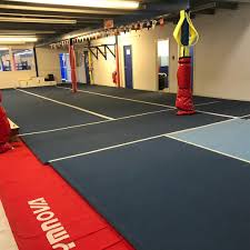 Image result for Stainsby School Of Gymnastics