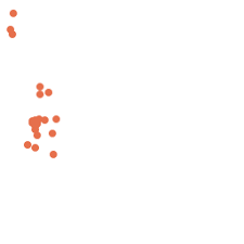 Attēlu rezultāti vaicājumam “Didymium nigripes young”