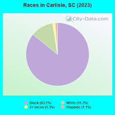 Image result for City Of Carlisle Sc
