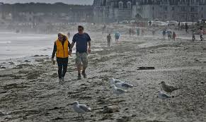 Image result for Hull Hurricanes