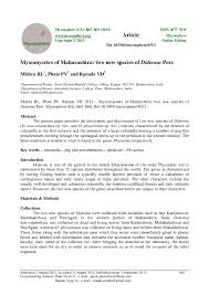 Attēlu rezultāti vaicājumam “Diderma cinereum sessile”