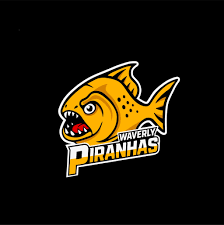 Image result for Abertillery Piranhas Swimming Club