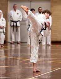 Image result for Dallo Martial Arts