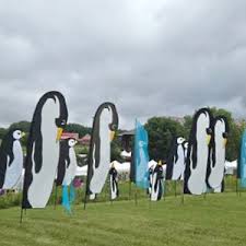 Image result for White Horse Kite Fliers Club