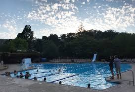 Image result for Cults Otters Amateur Swimming Club