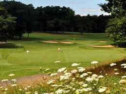 Image result for Meadow Sports Badminton Club