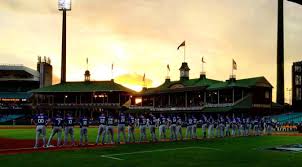 Image result for Dodgers Cricket Club