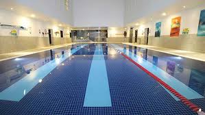 Image result for Harrogate Swimming Club