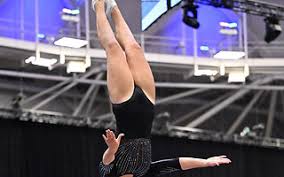 Image result for Tessaro Gymnastics Club