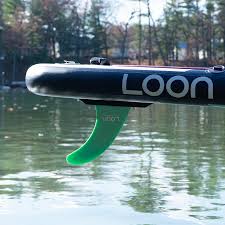 Image result for Dolphin Sub Aqua