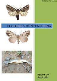 Attēlu rezultāti vaicājumam “Charissa ambiguata”