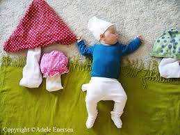 Image result for adele enersen