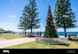 Image result for weihnachten in australien