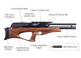 Image result for Whitehead Air Rifle & Pistol Club