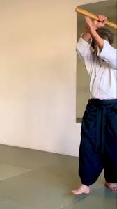 Image result for AikidoFlow