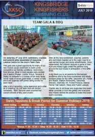 Image result for Kingsbridge Kingfishers Swimming Club