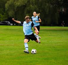 Image result for Wellington (Crowthorne) Badminton Club