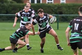 Image result for Newton - Le - Willows A R L F C