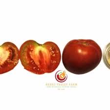 Afbeeldingsresultaat voor northern lights tomato