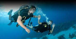 Image result for Darwen Snorkelling Club
