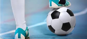 Image result for Chelmsford Casuals Badminton Club