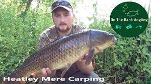 Image result for Dunham Massey Angling Club