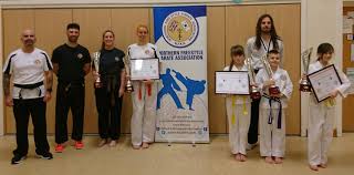 Image result for Northern Freestyle Karate Association