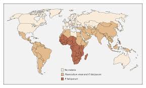 Attēlu rezultāti vaicājumam “undetermined plasmodium”