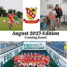 Image result for Moycarkey-Borris Gaa Club