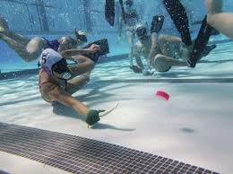 Image result for Spectrum Angels Octopush Club