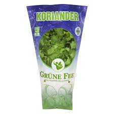 Image result for Koriander