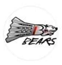 Image result for Birmingham Badminton Bears