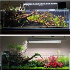 Znalezione obrazy dla zapytania takashi amano%